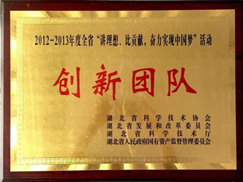 湖北省2012-2013年度“講理想，比貢獻(xiàn)”創(chuàng)新團(tuán)隊.jpg